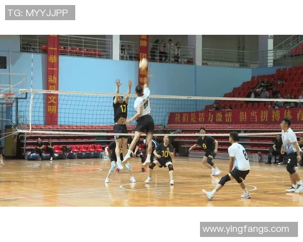 广州排球队领跑最新排球配合TOP10展现团队默契与实力